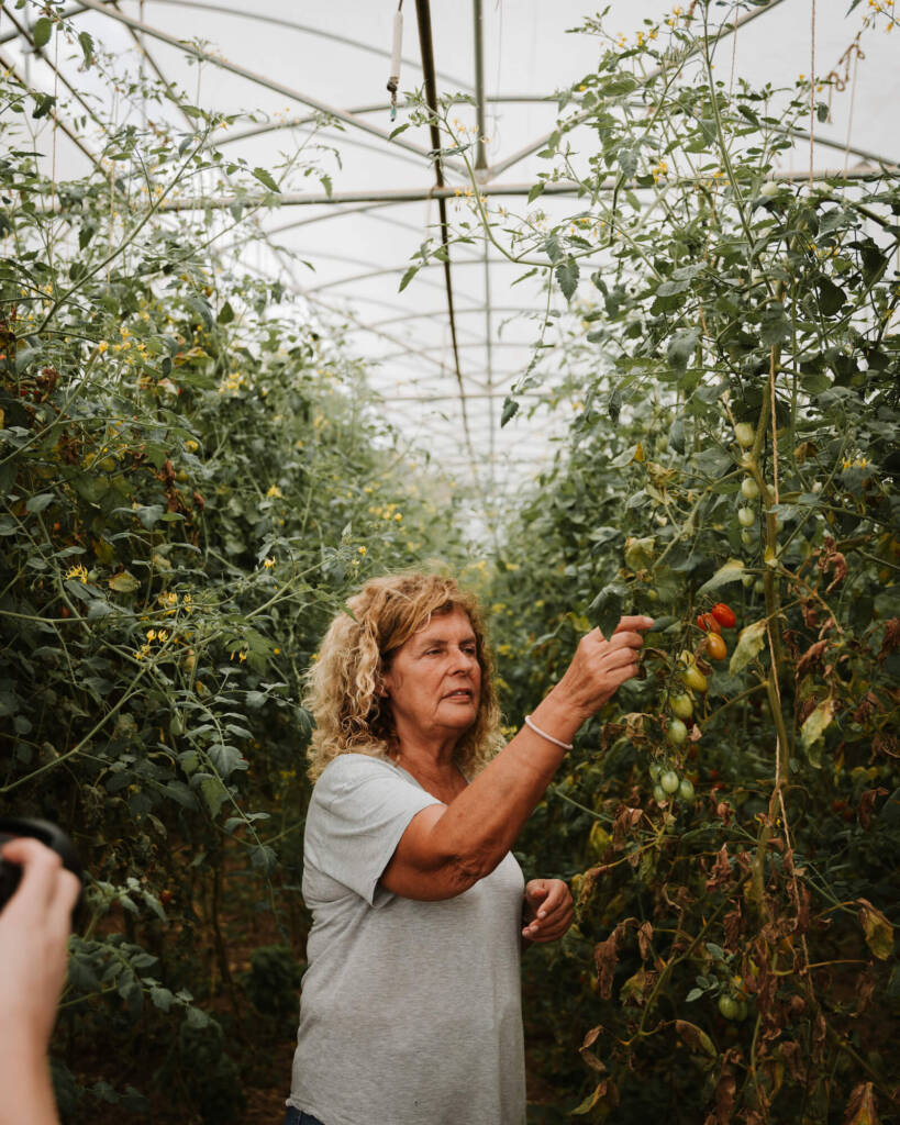 A woman with blond, curly hair stands in a greenhouse filled with tall plants, reaching up toward a bunch of ripening plum tomatoes.