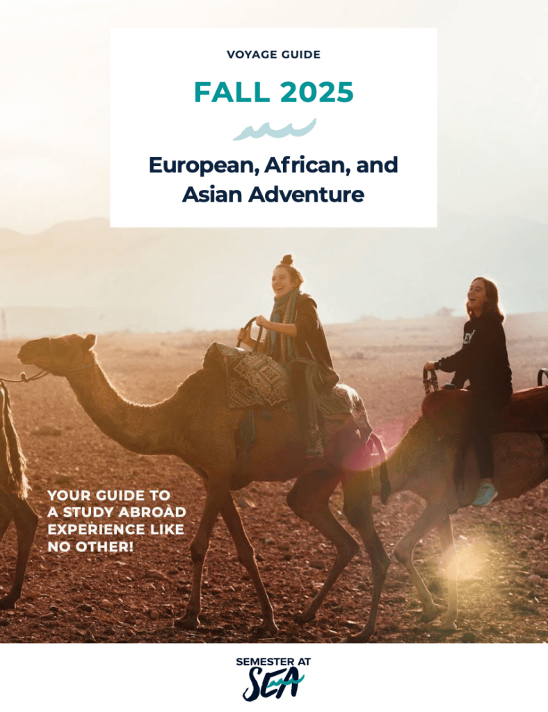 Image depicting the landscapes and cultural highlights of Europe, Africa, and Asia during the fall of 2025